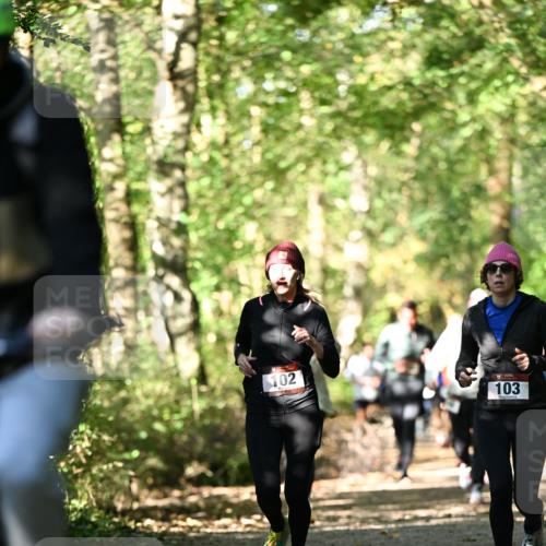 06.10.2024 - Bramfelder Halbmarathon 2024 Dr. Thomas Lammeyer http://msf.ph/oto/7338787 06.10.2024 10:28:45 Laufen 102, 103 meine-sportfotos.de