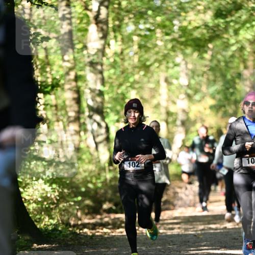06.10.2024 - Bramfelder Halbmarathon 2024 Dr. Thomas Lammeyer http://msf.ph/oto/7338789 06.10.2024 10:28:45 Laufen 102, 103 meine-sportfotos.de