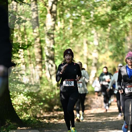 06.10.2024 - Bramfelder Halbmarathon 2024 Dr. Thomas Lammeyer http://msf.ph/oto/7338790 06.10.2024 10:28:45 Laufen 102, 103 meine-sportfotos.de