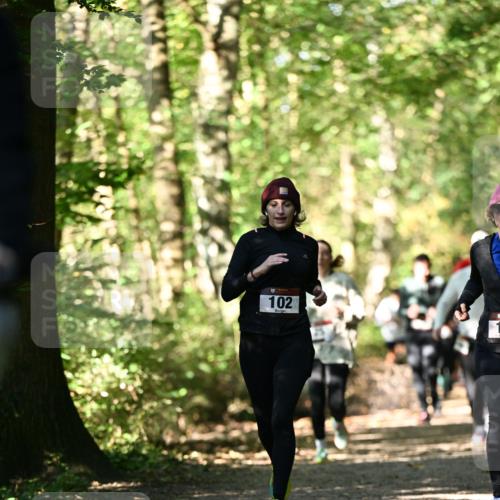 06.10.2024 - Bramfelder Halbmarathon 2024 Dr. Thomas Lammeyer http://msf.ph/oto/7338791 06.10.2024 10:28:45 Laufen 102 meine-sportfotos.de