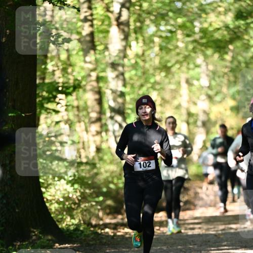 06.10.2024 - Bramfelder Halbmarathon 2024 Dr. Thomas Lammeyer http://msf.ph/oto/7338792 06.10.2024 10:28:46 Laufen 102 meine-sportfotos.de