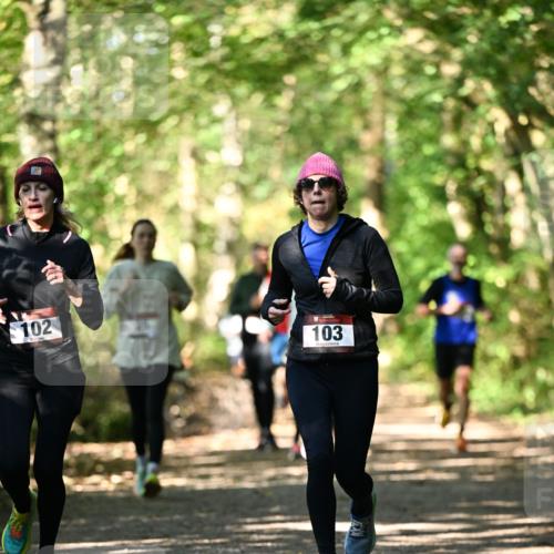06.10.2024 - Bramfelder Halbmarathon 2024 Dr. Thomas Lammeyer http://msf.ph/oto/7338794 06.10.2024 10:28:46 Laufen 102, 103 meine-sportfotos.de