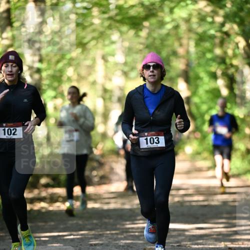 06.10.2024 - Bramfelder Halbmarathon 2024 Dr. Thomas Lammeyer http://msf.ph/oto/7338797 06.10.2024 10:28:47 Laufen 102, 103 meine-sportfotos.de