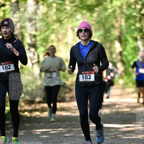 06.10.2024 - Bramfelder Halbmarathon 2024 Dr. Thomas Lammeyer http://msf.ph/oto/7338800 06.10.2024 10:28:47 Laufen 102, 103 meine-sportfotos.de