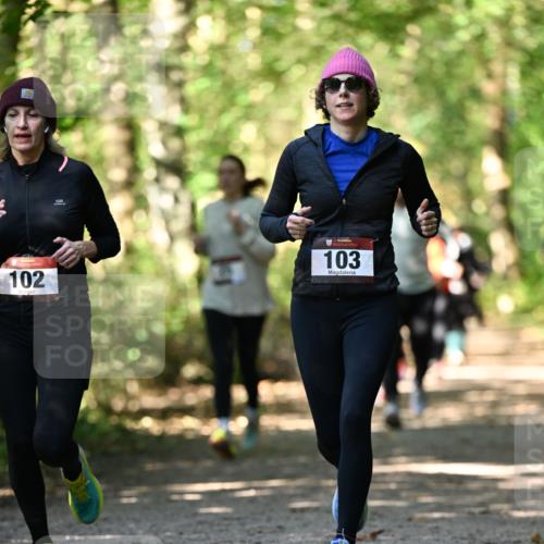 06.10.2024 - Bramfelder Halbmarathon 2024 Dr. Thomas Lammeyer http://msf.ph/oto/7338802 06.10.2024 10:28:47 Laufen 102, 103 meine-sportfotos.de