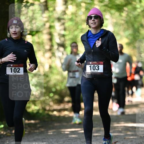 06.10.2024 - Bramfelder Halbmarathon 2024 Dr. Thomas Lammeyer http://msf.ph/oto/7338804 06.10.2024 10:28:48 Laufen 102, 103 meine-sportfotos.de