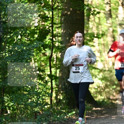 06.10.2024 - Bramfelder Halbmarathon 2024 Dr. Thomas Lammeyer http://msf.ph/oto/7338814 06.10.2024 10:28:50 Laufen 25, 86, 41 meine-sportfotos.de