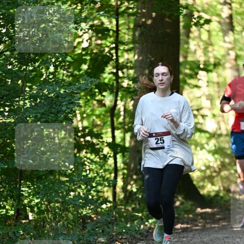 06.10.2024 - Bramfelder Halbmarathon 2024 Dr. Thomas Lammeyer http://msf.ph/oto/7338815 06.10.2024 10:28:51 Laufen 25 meine-sportfotos.de