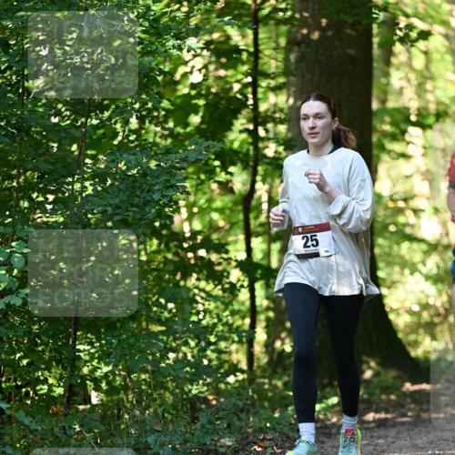 06.10.2024 - Bramfelder Halbmarathon 2024 Dr. Thomas Lammeyer http://msf.ph/oto/7338816 06.10.2024 10:28:51 Laufen 25, 86 meine-sportfotos.de