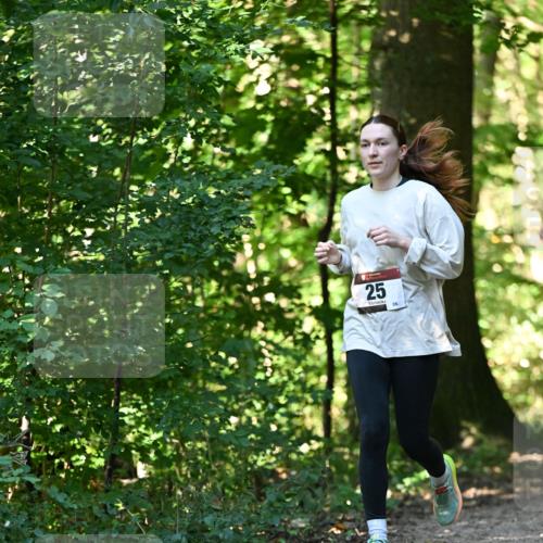 06.10.2024 - Bramfelder Halbmarathon 2024 Dr. Thomas Lammeyer http://msf.ph/oto/7338817 06.10.2024 10:28:51 Laufen 25 meine-sportfotos.de