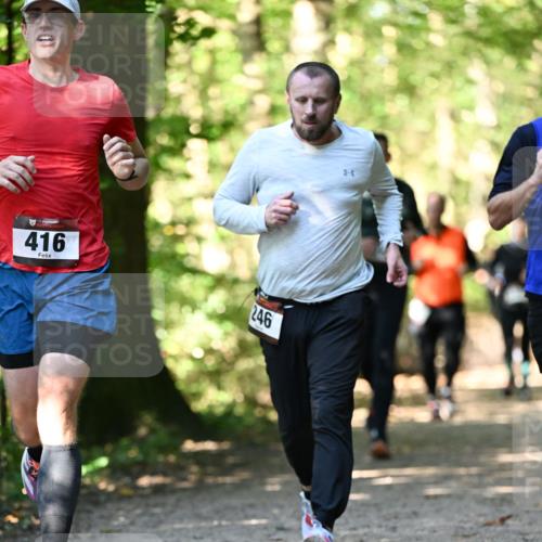 06.10.2024 - Bramfelder Halbmarathon 2024 Dr. Thomas Lammeyer http://msf.ph/oto/7338823 06.10.2024 10:28:53 Laufen 416, 46, 246 meine-sportfotos.de