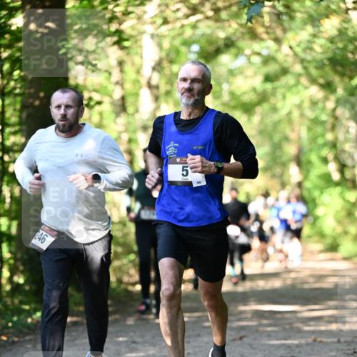 06.10.2024 - Bramfelder Halbmarathon 2024 Dr. Thomas Lammeyer http://msf.ph/oto/7338826 06.10.2024 10:28:54 Laufen 246 meine-sportfotos.de