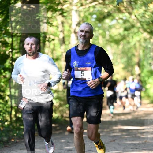 06.10.2024 - Bramfelder Halbmarathon 2024 Dr. Thomas Lammeyer http://msf.ph/oto/7338827 06.10.2024 10:28:54 Laufen 46, 5, 64 meine-sportfotos.de