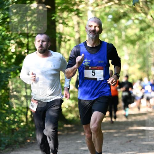 06.10.2024 - Bramfelder Halbmarathon 2024 Dr. Thomas Lammeyer http://msf.ph/oto/7338828 06.10.2024 10:28:54 Laufen 46 meine-sportfotos.de