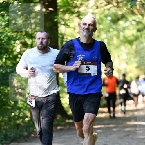 06.10.2024 - Bramfelder Halbmarathon 2024 Dr. Thomas Lammeyer http://msf.ph/oto/7338829 06.10.2024 10:28:54 Laufen 246, 5, 64 meine-sportfotos.de