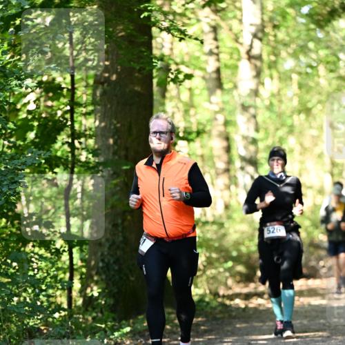 06.10.2024 - Bramfelder Halbmarathon 2024 Dr. Thomas Lammeyer http://msf.ph/oto/7338843 06.10.2024 10:28:58 Laufen 526 meine-sportfotos.de
