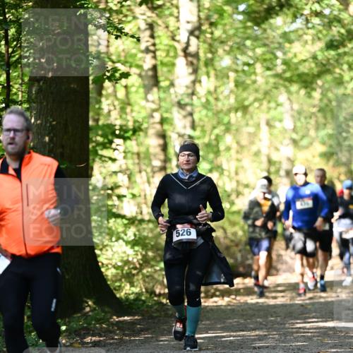 06.10.2024 - Bramfelder Halbmarathon 2024 Dr. Thomas Lammeyer http://msf.ph/oto/7338845 06.10.2024 10:28:59 Laufen 526 meine-sportfotos.de