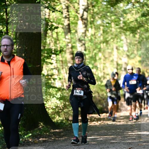 06.10.2024 - Bramfelder Halbmarathon 2024 Dr. Thomas Lammeyer http://msf.ph/oto/7338846 06.10.2024 10:28:59 Laufen 526 meine-sportfotos.de