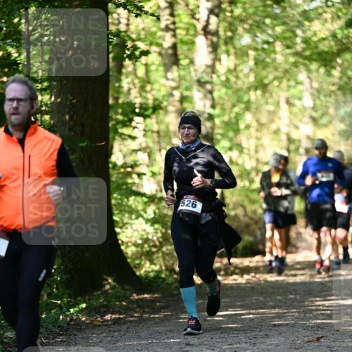 06.10.2024 - Bramfelder Halbmarathon 2024 Dr. Thomas Lammeyer http://msf.ph/oto/7338847 06.10.2024 10:28:59 Laufen 526 meine-sportfotos.de