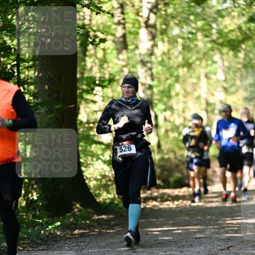 06.10.2024 - Bramfelder Halbmarathon 2024 Dr. Thomas Lammeyer http://msf.ph/oto/7338849 06.10.2024 10:29:00 Laufen 526 meine-sportfotos.de