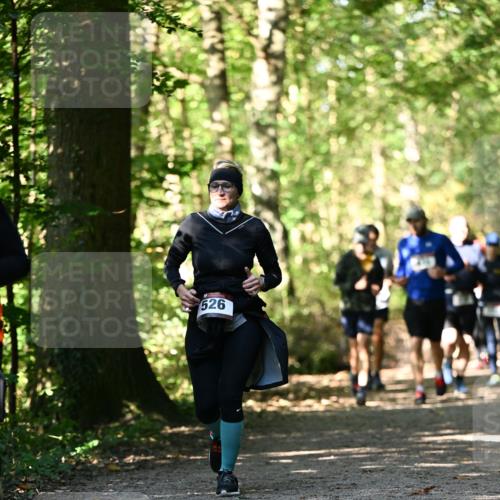 06.10.2024 - Bramfelder Halbmarathon 2024 Dr. Thomas Lammeyer http://msf.ph/oto/7338850 06.10.2024 10:29:00 Laufen 526 meine-sportfotos.de