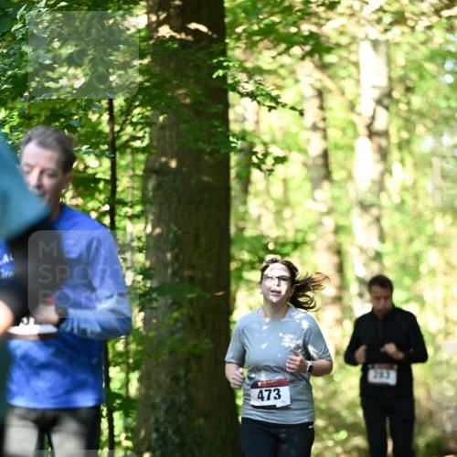 06.10.2024 - Bramfelder Halbmarathon 2024 Dr. Thomas Lammeyer http://msf.ph/oto/7338875 06.10.2024 10:29:15 Laufen 473 meine-sportfotos.de