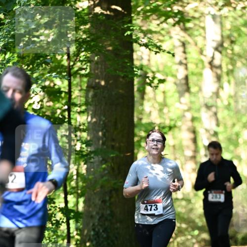 06.10.2024 - Bramfelder Halbmarathon 2024 Dr. Thomas Lammeyer http://msf.ph/oto/7338876 06.10.2024 10:29:15 Laufen 2, 473, 151, 283 meine-sportfotos.de