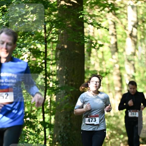 06.10.2024 - Bramfelder Halbmarathon 2024 Dr. Thomas Lammeyer http://msf.ph/oto/7338877 06.10.2024 10:29:15 Laufen 52, 473, 151 meine-sportfotos.de