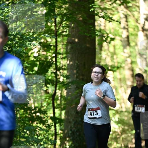 06.10.2024 - Bramfelder Halbmarathon 2024 Dr. Thomas Lammeyer http://msf.ph/oto/7338879 06.10.2024 10:29:16 Laufen 473, 151, 283 meine-sportfotos.de