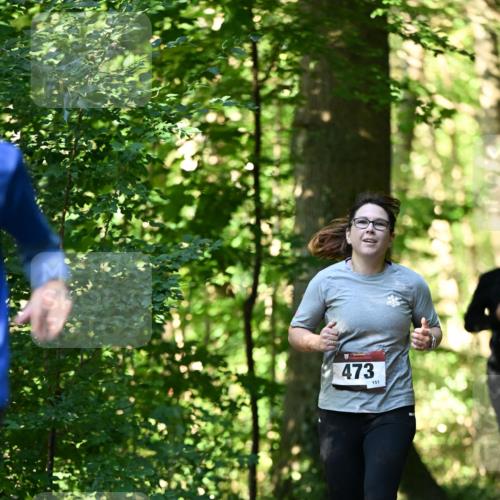 06.10.2024 - Bramfelder Halbmarathon 2024 Dr. Thomas Lammeyer http://msf.ph/oto/7338882 06.10.2024 10:29:16 Laufen 473, 151 meine-sportfotos.de