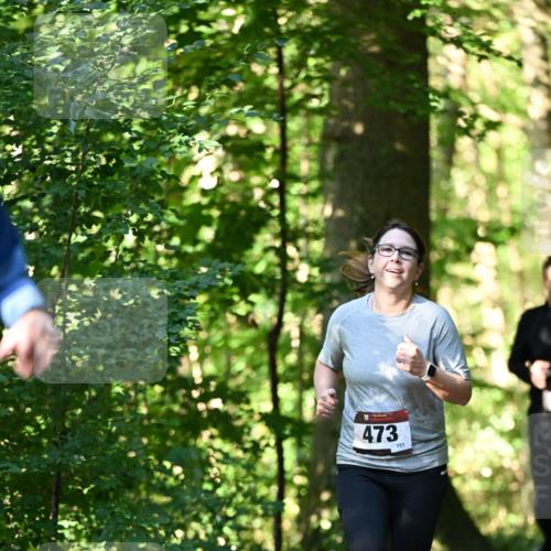 06.10.2024 - Bramfelder Halbmarathon 2024 Dr. Thomas Lammeyer http://msf.ph/oto/7338883 06.10.2024 10:29:16 Laufen 473, 151 meine-sportfotos.de