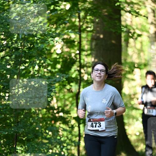06.10.2024 - Bramfelder Halbmarathon 2024 Dr. Thomas Lammeyer http://msf.ph/oto/7338885 06.10.2024 10:29:16 Laufen 37, 473, 151 meine-sportfotos.de