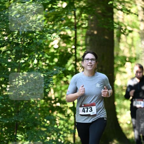 06.10.2024 - Bramfelder Halbmarathon 2024 Dr. Thomas Lammeyer http://msf.ph/oto/7338886 06.10.2024 10:29:16 Laufen 473, 151 meine-sportfotos.de