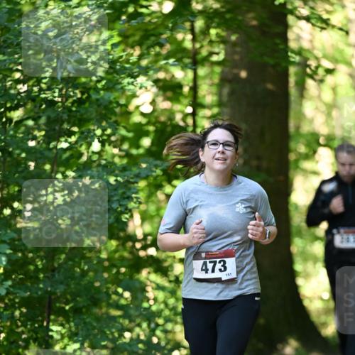 06.10.2024 - Bramfelder Halbmarathon 2024 Dr. Thomas Lammeyer http://msf.ph/oto/7338887 06.10.2024 10:29:17 Laufen 473, 151 meine-sportfotos.de