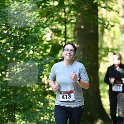 06.10.2024 - Bramfelder Halbmarathon 2024 Dr. Thomas Lammeyer http://msf.ph/oto/7338888 06.10.2024 10:29:17 Laufen 473, 151 meine-sportfotos.de