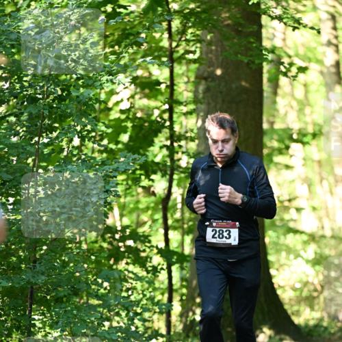 06.10.2024 - Bramfelder Halbmarathon 2024 Dr. Thomas Lammeyer http://msf.ph/oto/7338892 06.10.2024 10:29:18 Laufen 283 meine-sportfotos.de