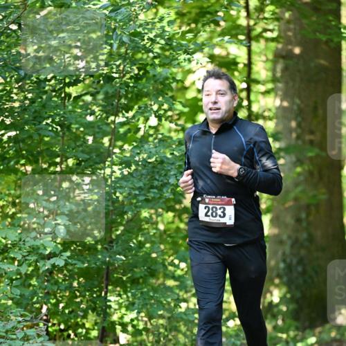 06.10.2024 - Bramfelder Halbmarathon 2024 Dr. Thomas Lammeyer http://msf.ph/oto/7338898 06.10.2024 10:29:19 Laufen 283, 16 meine-sportfotos.de