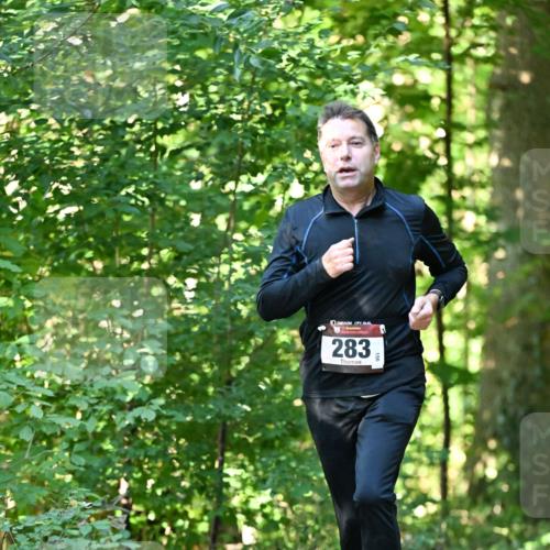 06.10.2024 - Bramfelder Halbmarathon 2024 Dr. Thomas Lammeyer http://msf.ph/oto/7338900 06.10.2024 10:29:19 Laufen 283 meine-sportfotos.de