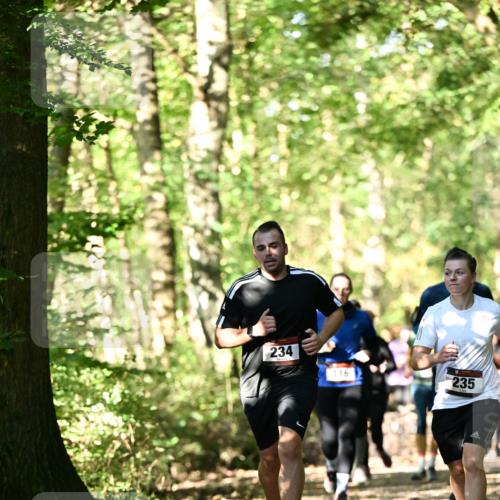 06.10.2024 - Bramfelder Halbmarathon 2024 Dr. Thomas Lammeyer http://msf.ph/oto/7338903 06.10.2024 10:29:21 Laufen 234, 116, 235 meine-sportfotos.de