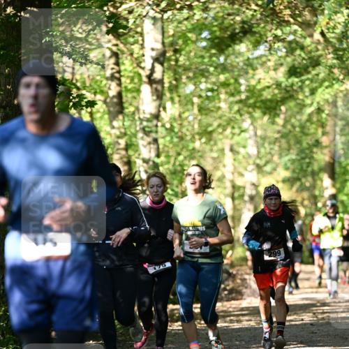 06.10.2024 - Bramfelder Halbmarathon 2024 Dr. Thomas Lammeyer http://msf.ph/oto/7338942 06.10.2024 10:29:28 Laufen 9, 175, 2012, 299 meine-sportfotos.de