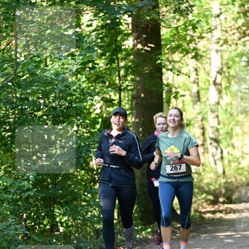 06.10.2024 - Bramfelder Halbmarathon 2024 Dr. Thomas Lammeyer http://msf.ph/oto/7338945 06.10.2024 10:29:30 Laufen 267 meine-sportfotos.de