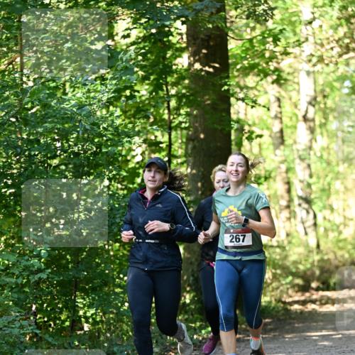 06.10.2024 - Bramfelder Halbmarathon 2024 Dr. Thomas Lammeyer http://msf.ph/oto/7338946 06.10.2024 10:29:30 Laufen 267 meine-sportfotos.de