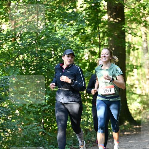 06.10.2024 - Bramfelder Halbmarathon 2024 Dr. Thomas Lammeyer http://msf.ph/oto/7338951 06.10.2024 10:29:31 Laufen 2012, 267 meine-sportfotos.de