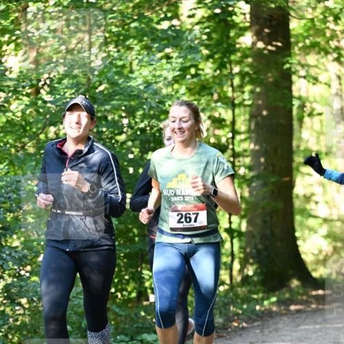 06.10.2024 - Bramfelder Halbmarathon 2024 Dr. Thomas Lammeyer http://msf.ph/oto/7338953 06.10.2024 10:29:32 Laufen 2012, 267 meine-sportfotos.de