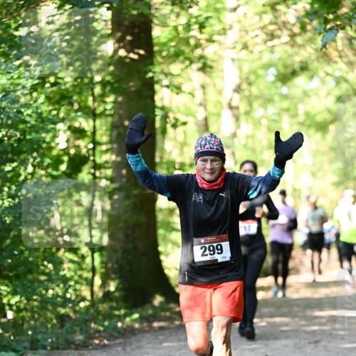 06.10.2024 - Bramfelder Halbmarathon 2024 Dr. Thomas Lammeyer http://msf.ph/oto/7338958 06.10.2024 10:29:33 Laufen 299, 133 meine-sportfotos.de