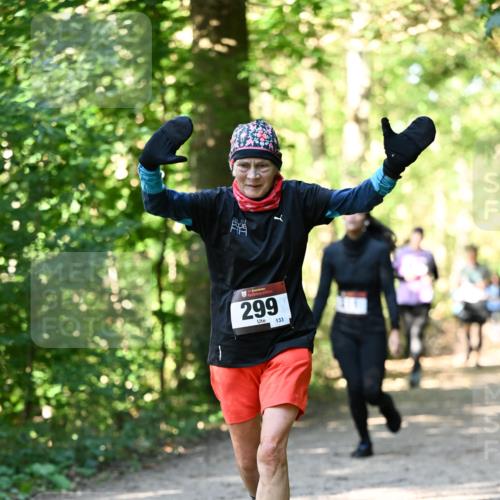 06.10.2024 - Bramfelder Halbmarathon 2024 Dr. Thomas Lammeyer http://msf.ph/oto/7338962 06.10.2024 10:29:33 Laufen 299, 133 meine-sportfotos.de
