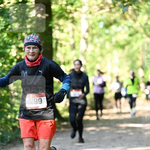 06.10.2024 - Bramfelder Halbmarathon 2024 Dr. Thomas Lammeyer http://msf.ph/oto/7338965 06.10.2024 10:29:34 Laufen 299 meine-sportfotos.de