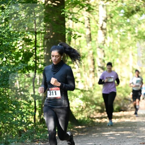 06.10.2024 - Bramfelder Halbmarathon 2024 Dr. Thomas Lammeyer http://msf.ph/oto/7338966 06.10.2024 10:29:35 Laufen 311 meine-sportfotos.de