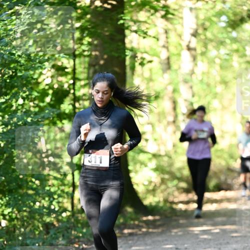 06.10.2024 - Bramfelder Halbmarathon 2024 Dr. Thomas Lammeyer http://msf.ph/oto/7338967 06.10.2024 10:29:35 Laufen 1311 meine-sportfotos.de