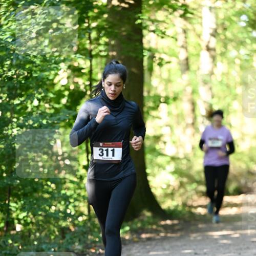 06.10.2024 - Bramfelder Halbmarathon 2024 Dr. Thomas Lammeyer http://msf.ph/oto/7338968 06.10.2024 10:29:35 Laufen 311 meine-sportfotos.de